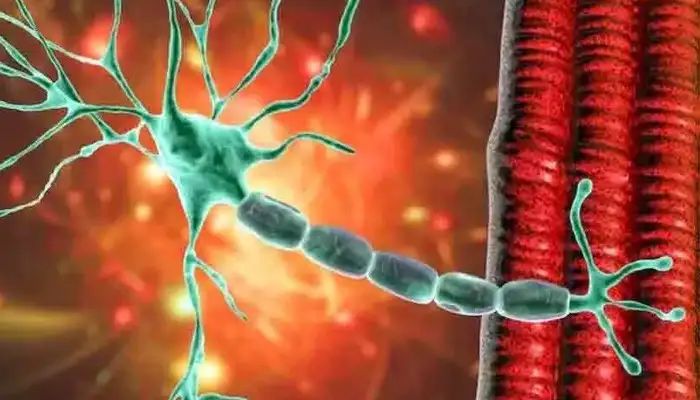 ഗില്ലിൻബാരെ സിൻഡ്രോം; മഹാരാഷ്ട്രയില് നാല് മരണമായി