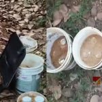 14 സ്റ്റീല്‍ ബോംബ്, 2 പൈപ്പ് ബോംബ്, രണ്ട് വടിവാള്‍; കോഴിക്കോട് വൻ ആയുധശേഖരം കണ്ടെത്തി