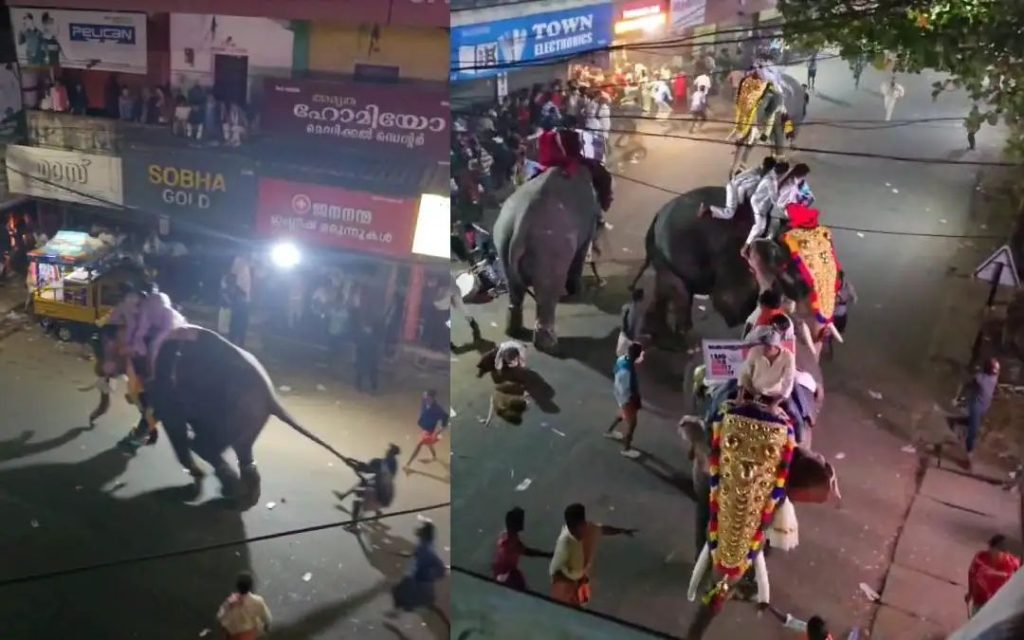 പട്ടാമ്പി നേര്ച്ചക്കിടെ ആന വിരണ്ടോടി; മധ്യ വയസ്കന്റെ കാലില് കമ്പി തുളഞ്ഞു കയറി