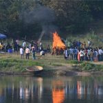 വനമേഖലയിൽ അനുമതിയില്ലാതെ ഷൂട്ടിങ്; കൾട്ട് സിനിമ ടീമിനെതിരെ കേസ്