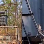 വെടിവെച്ചത് കാട്ടുപന്നിക്ക്, കൊണ്ടത് ട്രാന്‍സ്‌ഫോമറിന്; കെഎസ്‌ഇബിക്ക് രണ്ടര ലക്ഷം രൂപയുടെ നഷ്ടം