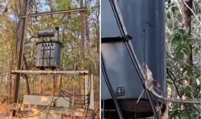 വെടിവെച്ചത് കാട്ടുപന്നിക്ക്, കൊണ്ടത് ട്രാന്സ്ഫോമറിന്; കെഎസ്ഇബിക്ക് രണ്ടര ലക്ഷം രൂപയുടെ നഷ്ടം