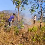 ചിക്കമഗളുരുവിൽ കാട്ടുതീ; ഏക്കറുകളോളം വനഭൂമി കത്തിനശിച്ചു