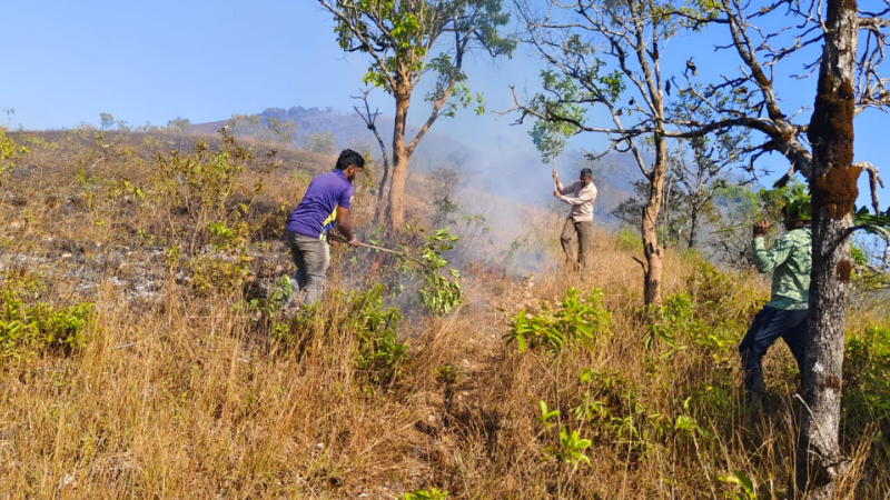 ചിക്കമഗളുരുവിൽ കാട്ടുതീ; ഏക്കറുകളോളം വനഭൂമി കത്തിനശിച്ചു