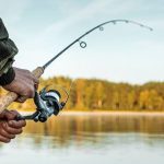 എയ്റോ ഇന്ത്യ; ബെംഗളൂരുവിലെ 21 തടാകങ്ങളിൽ മീൻപിടിത്തം നിരോധിച്ചു