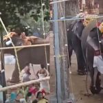 ക്ഷേത്രത്തിലെ ആനയിടഞ്ഞുണ്ടായ ദുരന്തം; മരിച്ചവർക്ക് നഷ്ടപരിഹാരം നൽകണമെന്ന് മന്ത്രി