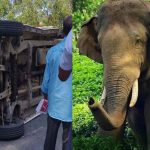 വിനോദസഞ്ചാരികളുടെ കാർ കാട്ടാന കുത്തിമറിച്ചിട്ടു; ആളുകൾ രക്ഷപ്പെട്ടത് തലനാരിഴയ്‌ക്ക്