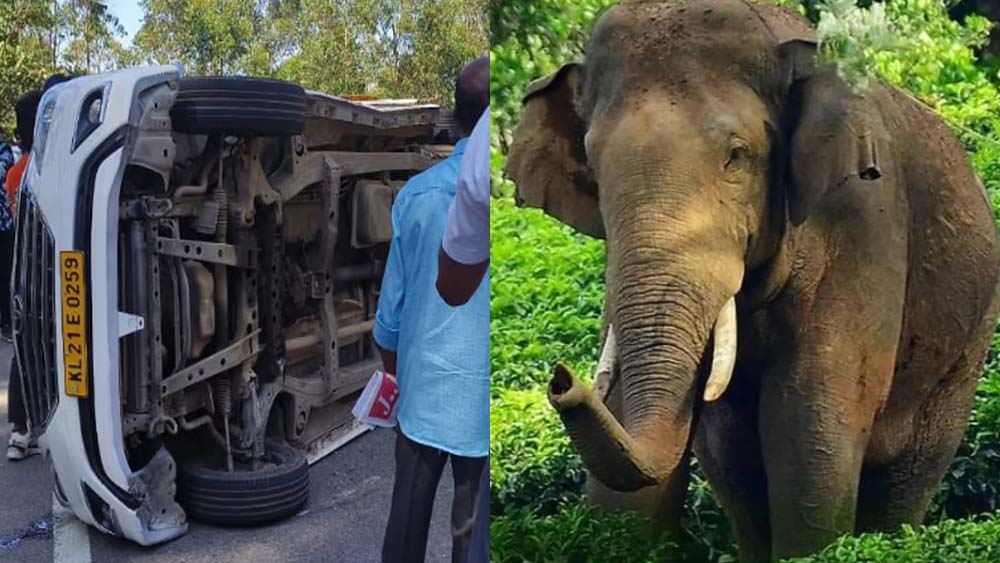 വിനോദസഞ്ചാരികളുടെ കാർ കാട്ടാന കുത്തിമറിച്ചിട്ടു; ആളുകൾ രക്ഷപ്പെട്ടത് തലനാരിഴയ്‌ക്ക്