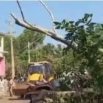 ഓടിക്കൊണ്ടിരുന്ന ഓട്ടോയ്ക്ക് മുകളില്‍ മരം വീണ് എട്ടുവയസുകാരനുള്‍പ്പെടെ രണ്ട് പേര്‍ക്ക് പരുക്ക്