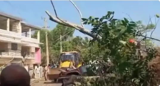 ഓടിക്കൊണ്ടിരുന്ന ഓട്ടോയ്ക്ക് മുകളില്‍ മരം വീണ് എട്ടുവയസുകാരനുള്‍പ്പെടെ രണ്ട് പേര്‍ക്ക് പരുക്ക്