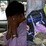 കളമശ്ശേരി കഞ്ചാവ് കേസ്: പ്രധാന പ്രതി അനുരാജ് പിടിയില്‍