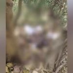 തമിഴ്‌നാട്ടില്‍ സ്‌ഫോടനത്തില്‍ മലയാളി കൊല്ലപ്പെട്ടു: മൃതദേഹം അഴുകിയ നിലയില്‍