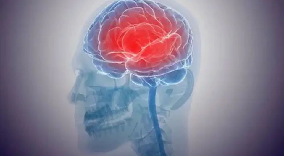 കളമശ്ശേരിയില്‍ രണ്ട് വിദ്യാര്‍ഥികള്‍ക്ക് മസ്തിഷ്ക ജ്വരം സ്ഥിരീകരിച്ചു