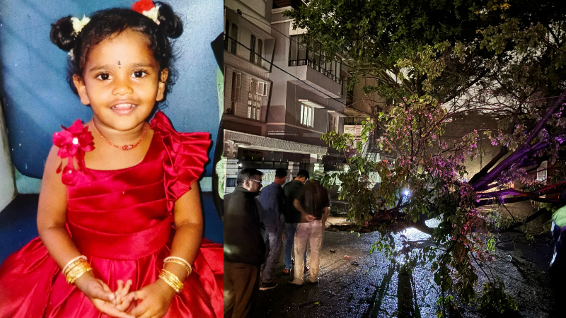 ബൈക്കിന് മേൽ മരം പൊട്ടിവീണ് അപകടം; മൂന്ന് വയസുകാരി മരിച്ചു