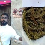 ഹൈബ്രിഡ് കഞ്ചാവുമായി സിനിമ മേക്കപ്പ് മാൻ പിടിയില്‍