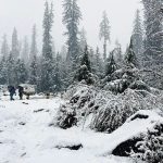 ഹിമാചലില്‍ വിനോദയാത്രക്ക് പോയ കോളജ് സംഘം മണ്ണിടിച്ചിലില്‍ കുടുങ്ങി