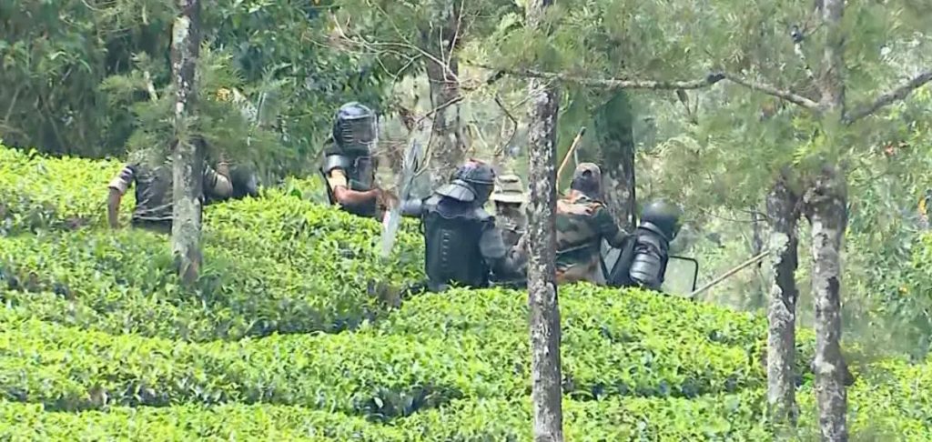 വണ്ടിപ്പെരിയാർ ഗ്രാമ്പിയിലെ കടുവയെ മയക്കുവെടി വെച്ച്‌ വലയിലാക്കി