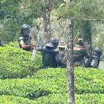 വണ്ടിപ്പെരിയാർ ഗ്രാമ്പിയിലെ കടുവയെ മയക്കുവെടി വെച്ച്‌ വലയിലാക്കി