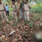 പള്ളിവളപ്പില്‍ സ്യൂട്ട്കേസിനുള്ളില്‍ അസ്ഥികൂടം കണ്ടെത്തി