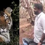 കടുവ ഇറങ്ങിയെന്ന വ്യാജ സന്ദേശം; യുവാവ് അറസ്റ്റില്‍