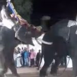 തിരുവല്ലയിൽ ഉത്സവത്തിനിടെ ആന ഇടഞ്ഞു; മറ്റൊരു ആനയെ കുത്തി, ഏഴുപേർക്ക് പരുക്ക്