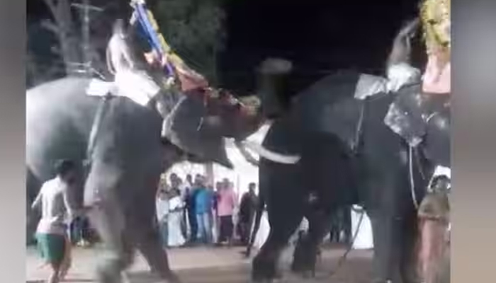 തിരുവല്ലയിൽ ഉത്സവത്തിനിടെ ആന ഇടഞ്ഞു; മറ്റൊരു ആനയെ കുത്തി, ഏഴുപേർക്ക് പരുക്ക്