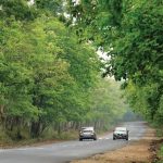 ദേശീയ പാത 766ലെ രാത്രി യാത്ര നിരോധനം; സുപ്രീം കോടതിയിൽ സത്യവാങ്മൂലം നൽകി കർണാടക