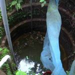 കണ്ണൂരിൽ നാലുമാസം പ്രായമായ കുഞ്ഞിനെ കൊലപ്പെടുത്തിയത് 12 കാരി