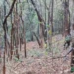 ഛത്തിസ്ഗഢിൽ രണ്ടിടങ്ങളിലായി ഏറ്റുമുട്ടൽ, സുരക്ഷാസേന 30 മാവോയിസ്റ്റുകളെ വധിച്ചു