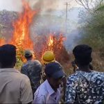 വിരാജ്പേട്ട് ഹിൽസിൽ വൻ തീപിടുത്തം; ഏക്കറുകളോളം വനഭൂമി കത്തിനശിച്ചു