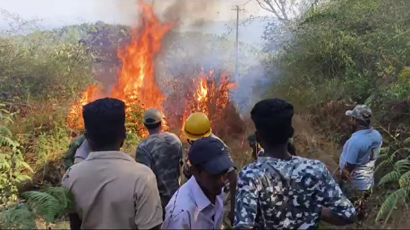 വിരാജ്പേട്ട് ഹിൽസിൽ വൻ തീപിടുത്തം; ഏക്കറുകളോളം വനഭൂമി കത്തിനശിച്ചു