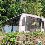 നേര്യമംഗലത്ത് കെഎസ്ആർടിസി ബസ് താഴ്ചയിലേക്ക് മറിഞ്ഞ് അപകടം; 15 വയസ്സുകാരി മരിച്ചു