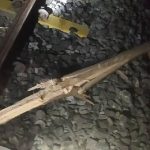 കാസറഗോഡ് റെയില്‍വേ ട്രാക്കില്‍ കരിങ്കല്ലും മരത്തടികളും നിരത്തി തീയിട്ടു: യുവാവ് അറസ്റ്റില്‍