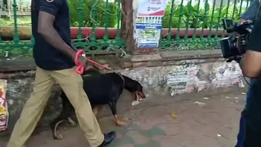 കളക്ട്രേറ്റുകളില് ബോംബ് ഭീഷണി; പോലീസും ബോംബ് സ്വാഡും പരിശോധന നടത്തുന്നു