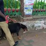 കളക്ട്രേറ്റുകളില് ബോംബ് ഭീഷണി; പോലീസും ബോംബ് സ്വാഡും പരിശോധന നടത്തുന്നു