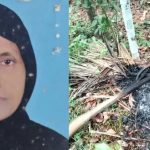 വിറക് ശേഖരിക്കാന്‍ പറമ്പിൽ പോയ വീട്ടമ്മ മിന്നലേറ്റ് മരിച്ചു