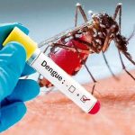 ബെംഗളൂരുവിൽ ഡെങ്കിപ്പനി കേസുകൾ വർധിക്കുന്നു