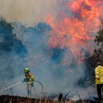 ജറുസലേമിന് സമീപം എസ്താവോൾ വനത്തിൽ കാട്ടുതീ പടരുന്നു; ആളുകളെ ഒഴിപ്പിച്ചു