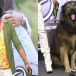 കോടികൾ വിലയുള്ള നായയെ വാങ്ങിയെന്ന് അവകാശവാദം; ഡോഗ് ബ്രീഡർക്കെതിരെ കേസെടുത്ത് ഇഡി