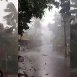 കണ്ണൂരില്‍ മിന്നല്‍ ചുഴലിക്കാറ്റ്; വീടുകള്‍ക്ക് മുകളിലേക്ക് മരങ്ങള്‍ കടപുഴകി വീണ് വൻ നാശനഷ്ടം