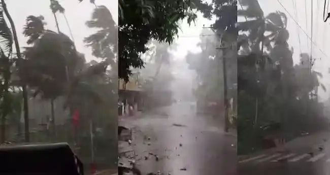 കണ്ണൂരില്‍ മിന്നല്‍ ചുഴലിക്കാറ്റ്; വീടുകള്‍ക്ക് മുകളിലേക്ക് മരങ്ങള്‍ കടപുഴകി വീണ് വൻ നാശനഷ്ടം