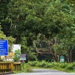 രാത്രി യാത്ര നിരോധനം; ബന്ദിപ്പുർ ചലോ പദയാത്ര ഏപ്രിൽ ആറിന്