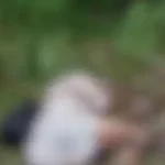 പാലക്കാട് ടാപ്പിങ് തൊഴിലാളി കാട്ടാനയുടെ ആക്രമണത്തില്‍ കൊല്ലപ്പെട്ടു