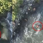 തെരച്ചിൽ നടക്കുന്നതിനിടെ രക്ഷപ്പെടാനായി നദിയിലേക്ക് ചാടി;  കശ്‌മീരിൽ ഭീകരർക്ക് ഭക്ഷണവും സഹായവും നൽകിയ യുവാവ് മുങ്ങിമരിച്ചു