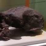 140,000 വര്‍ഷം പഴക്കമുള്ള മനുഷ്യ അസ്ഥി ഫോസിലുകള്‍ സമുദ്രത്തില്‍ നിന്ന് കണ്ടെത്തി