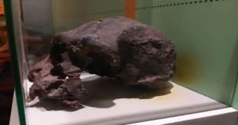 140,000 വര്‍ഷം പഴക്കമുള്ള മനുഷ്യ അസ്ഥി ഫോസിലുകള്‍ സമുദ്രത്തില്‍ നിന്ന് കണ്ടെത്തി