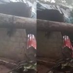 മരം ഒടിഞ്ഞ് ലേബര്‍ ക്യാമ്പിന് മുകളിലേക്ക് വീണ് ഒരാള്‍ മരിച്ചു; 3 പേര്‍ക്ക് പരുക്ക്