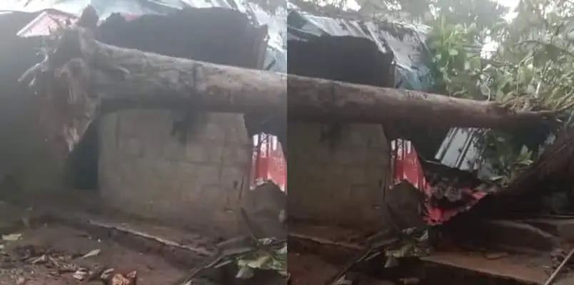 മരം ഒടിഞ്ഞ് ലേബര്‍ ക്യാമ്പിന് മുകളിലേക്ക് വീണ് ഒരാള്‍ മരിച്ചു; 3 പേര്‍ക്ക് പരുക്ക്