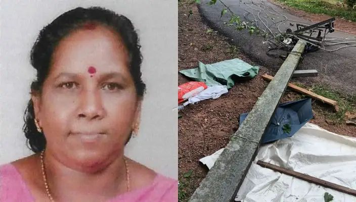 ടൂറിസ്റ്റ് ബസില്‍ കേബിള്‍ കുരുങ്ങി വൈദ്യുത പോസ്റ്റ് ഒടിഞ്ഞുവീണു; 53കാരിക്ക് ദാരുണാന്ത്യം