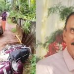 ഓടിക്കൊണ്ടിരുന്ന സ്‌കൂട്ടറിന് മുകളില്‍ തെങ്ങുവീണ് യാത്രക്കാരന്‍ മരിച്ചു